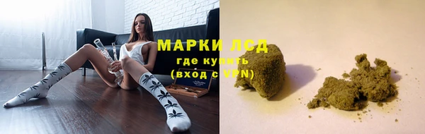 шишки Алексин