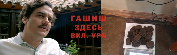 стафф Алзамай