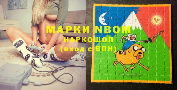 шишки Алексин