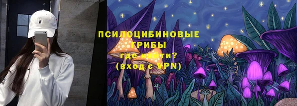 стафф Алзамай