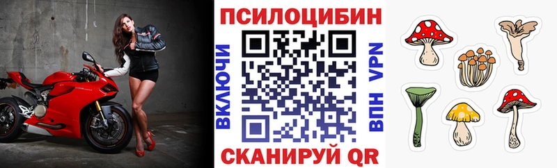 Псилоцибиновые грибы мицелий  Октябрьск 
